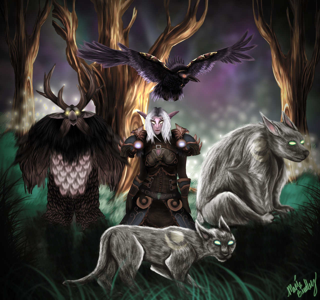 World Of Warcraft Night Elf Druid Wallpaper