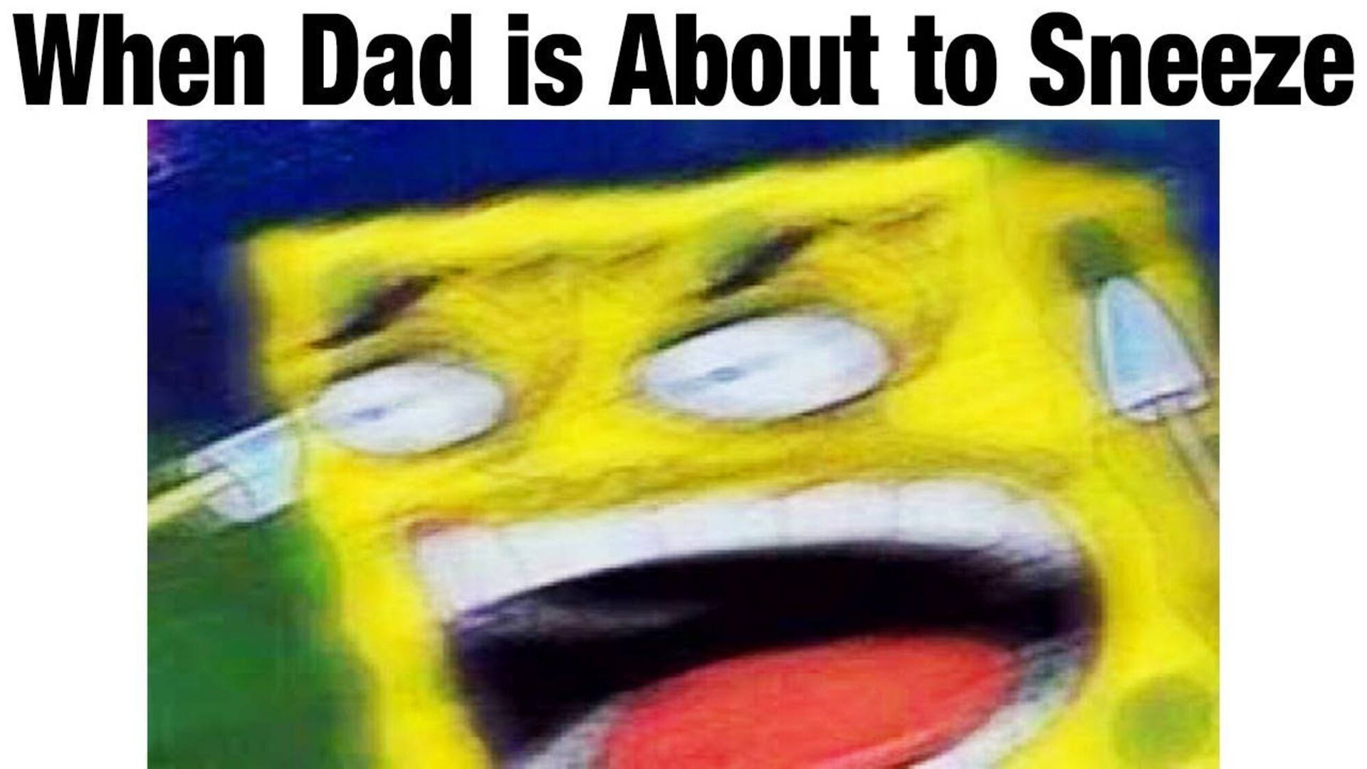 Dank Meme Wallpaper