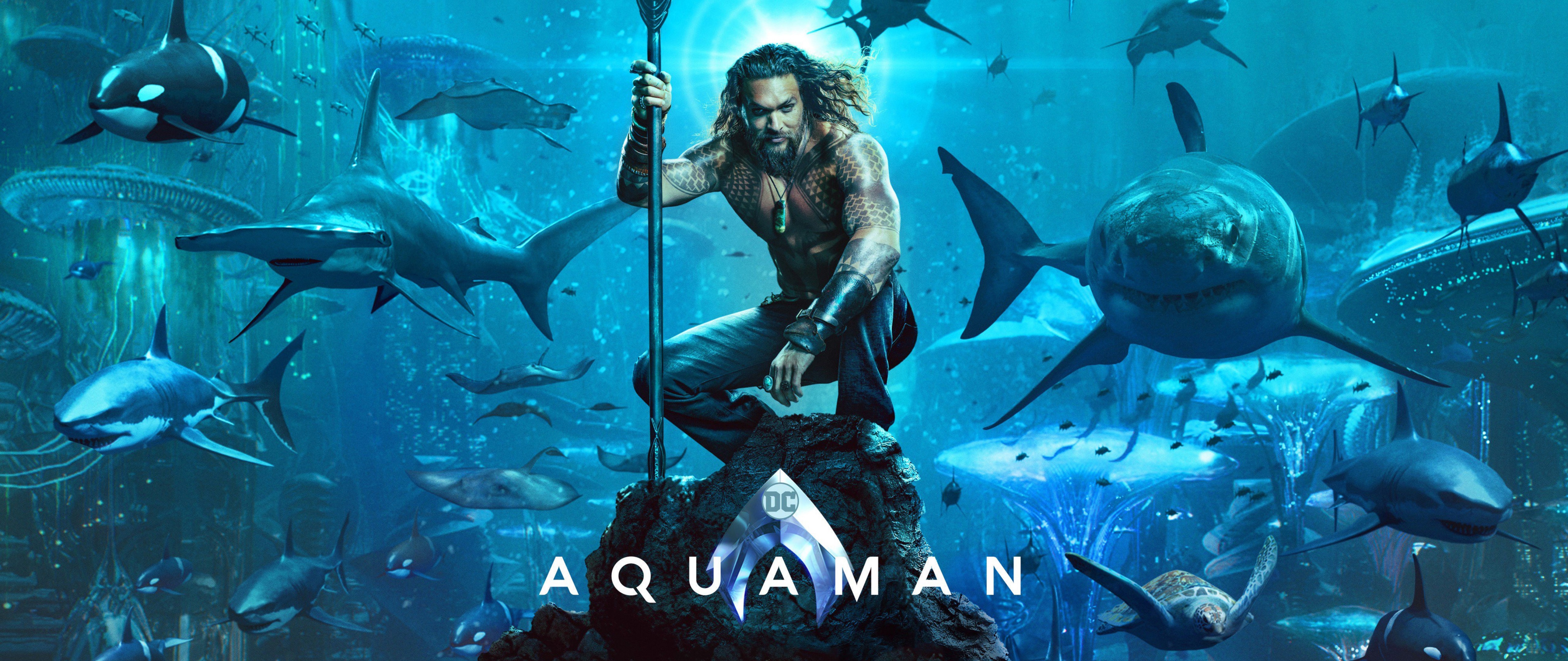 Aquaman Movie Wallpaper 4k Ultra HD Wide Tv Mafia