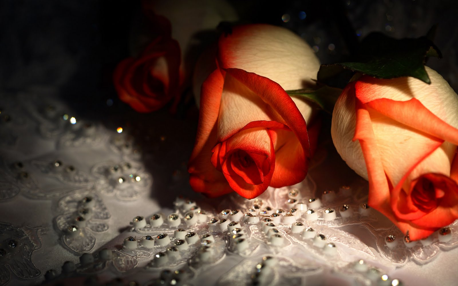 HD Wallpaper Desktop
