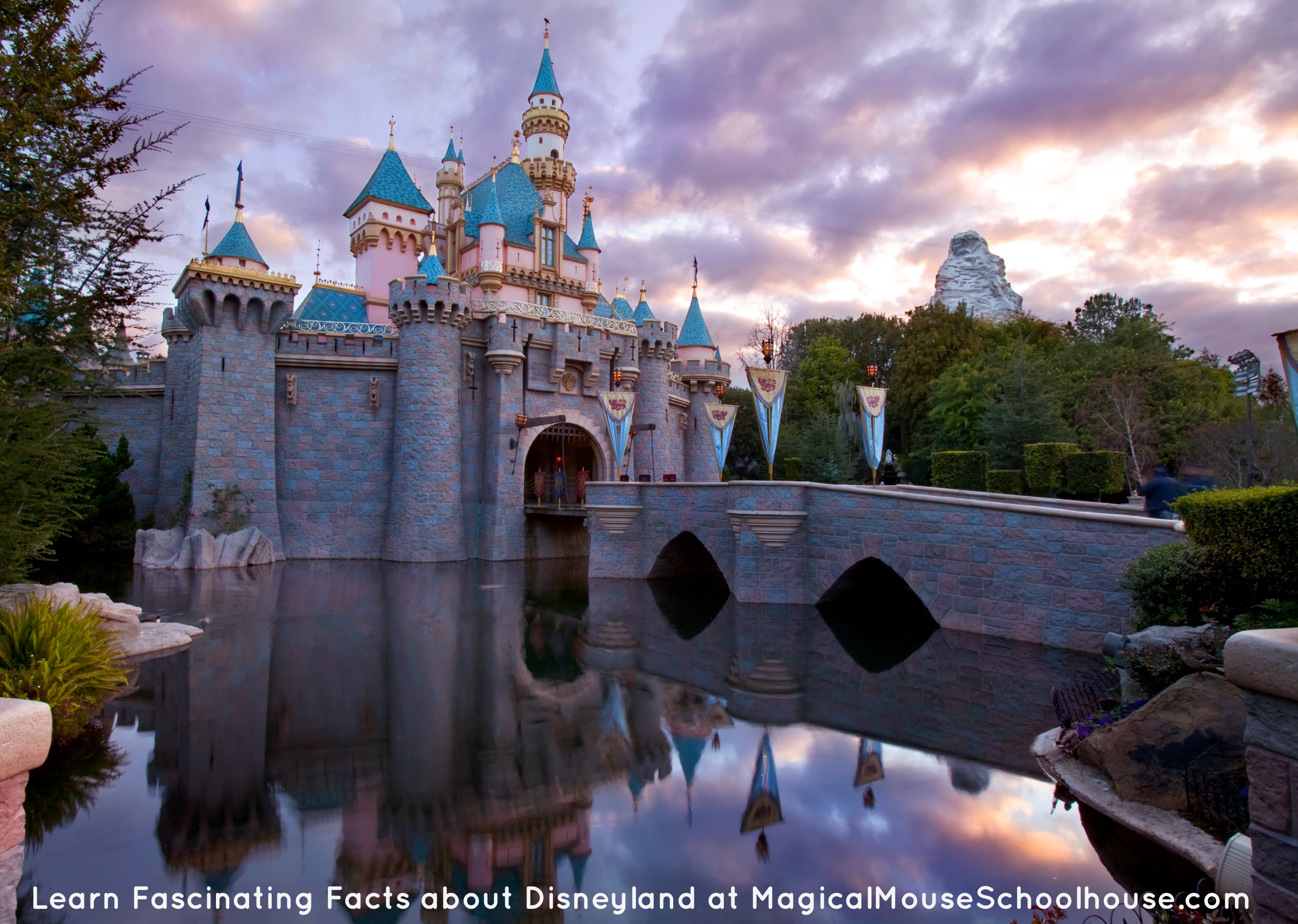 Disneyland Resort Fascinating Facts Disneyland60