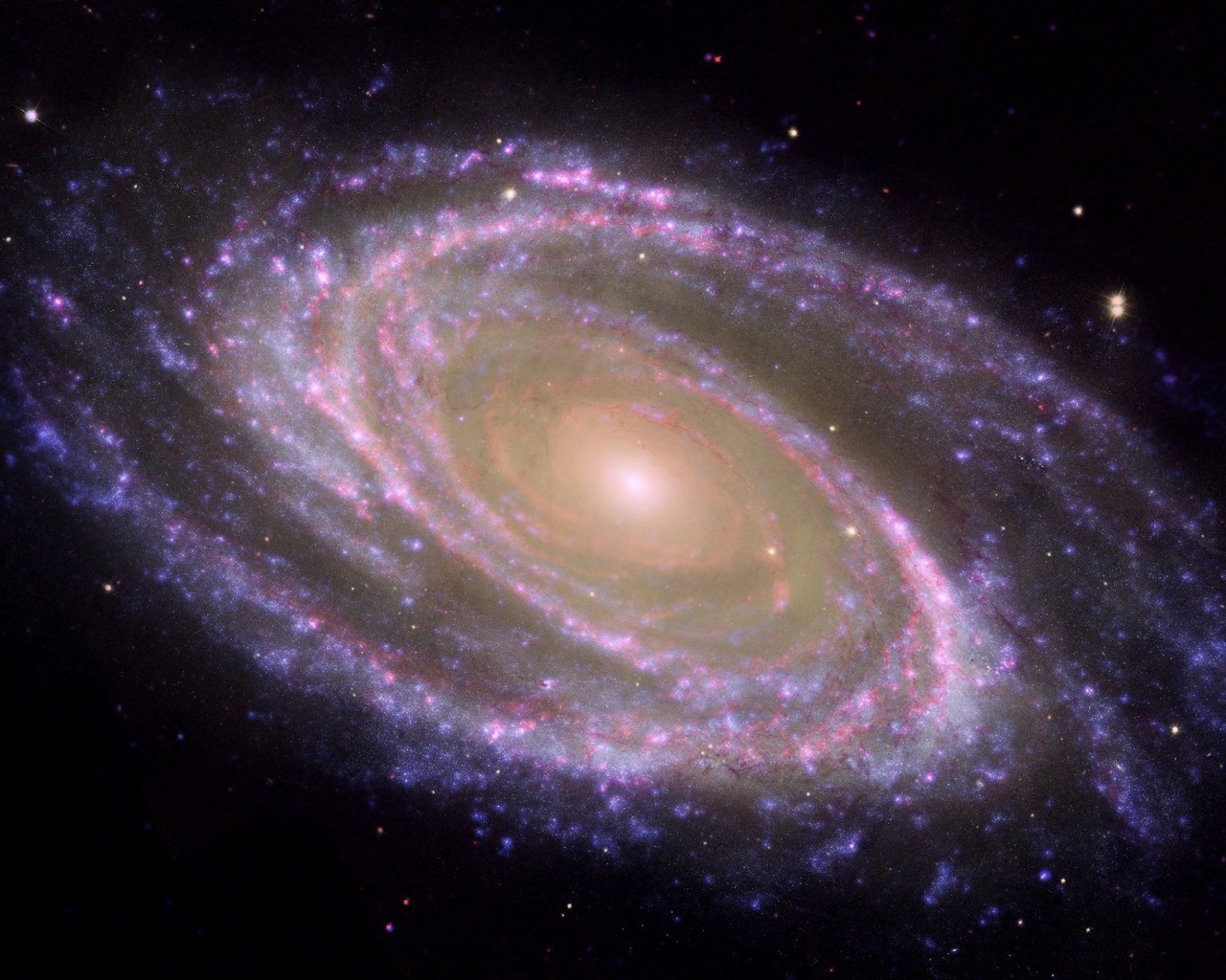 Spiral Galaxy M81 Desktop Wallpaper