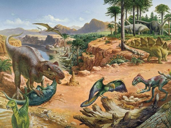 Period Artwork Photos Dinosaur National Geographic