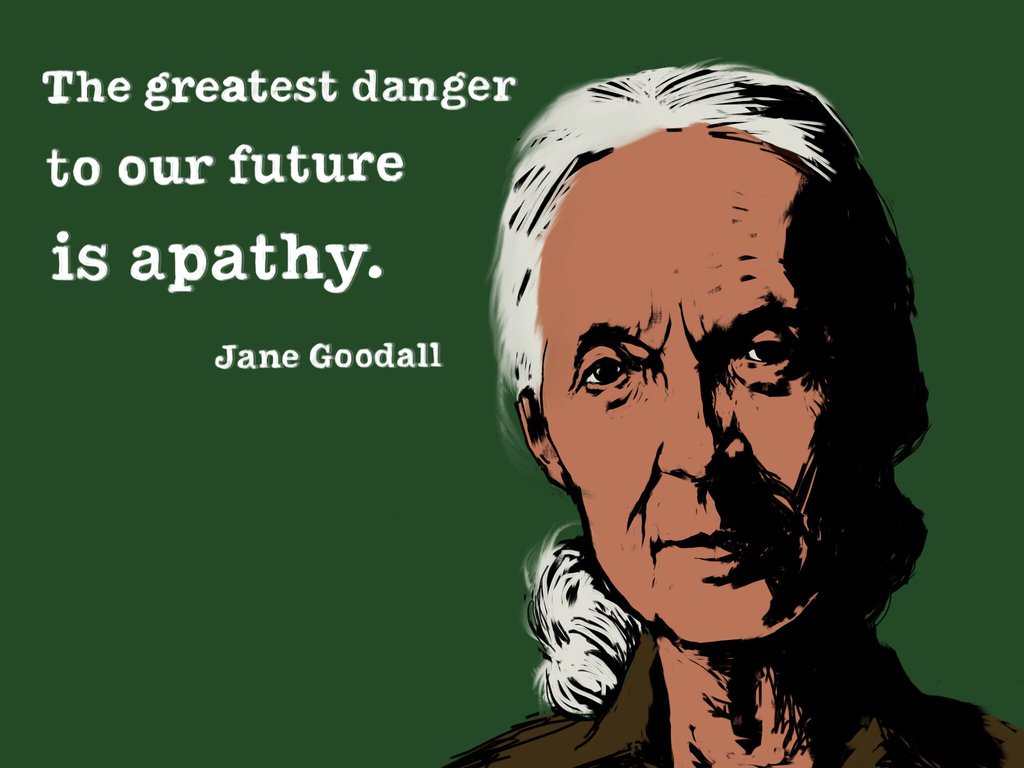 Jane Goodall By Dvlart
