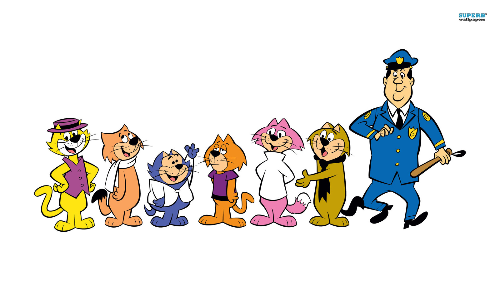 Top Cat Image HD Wallpaper And Background Photos