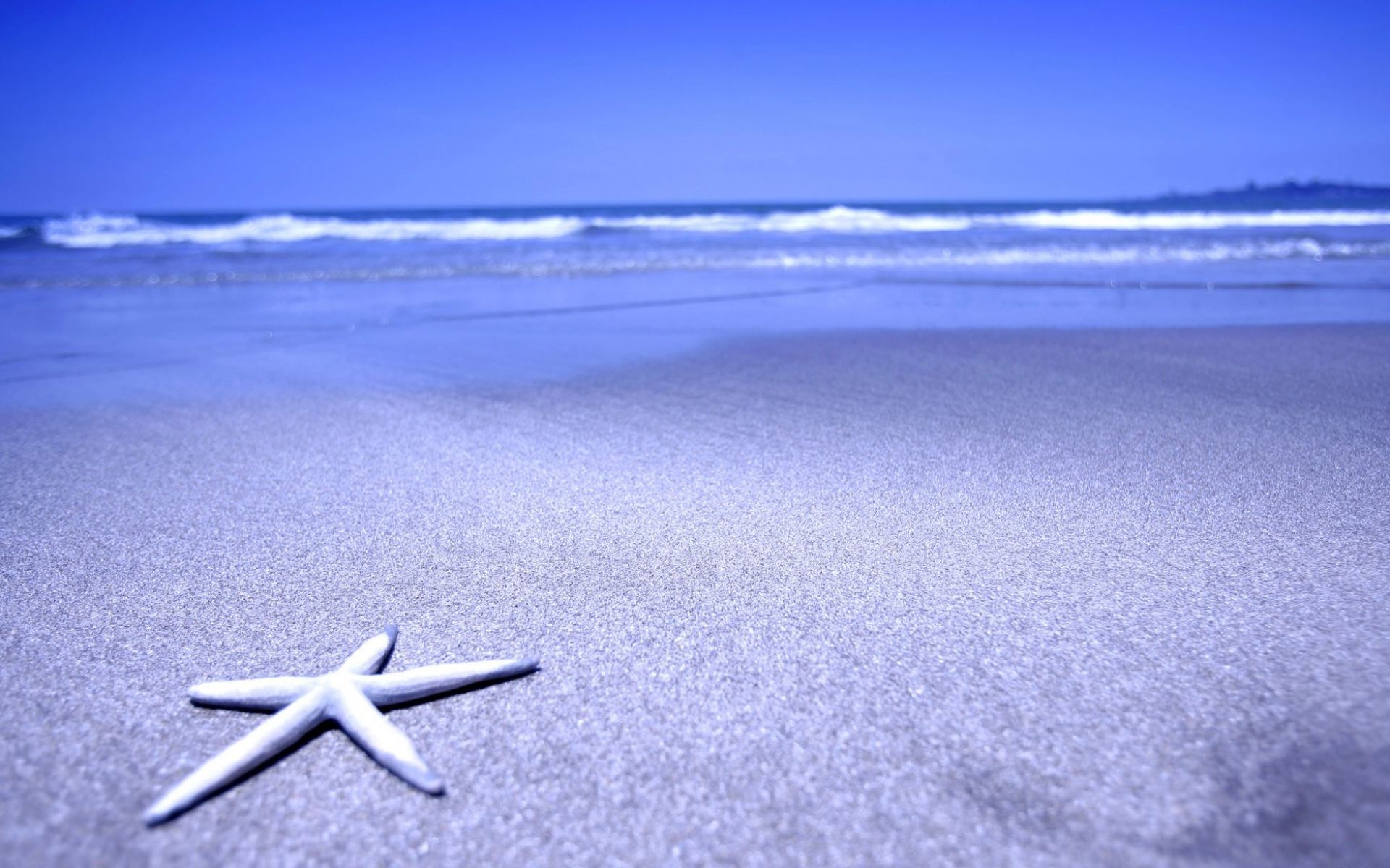 Beach Ocean Sand Starfish Seea Wallpaper Beaches