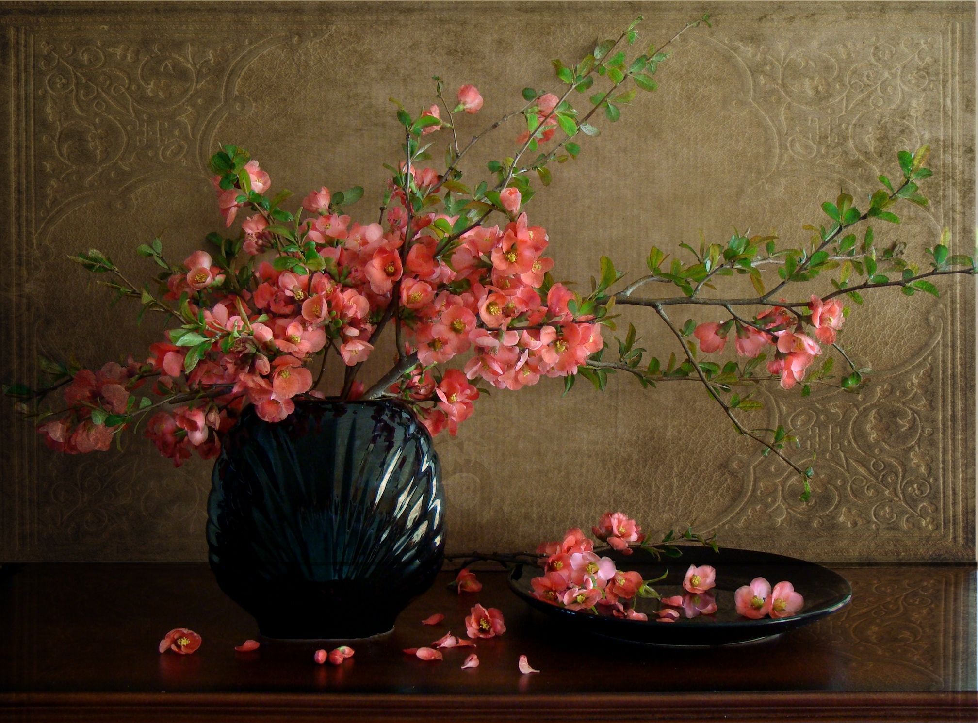 Still Life Wallpaper