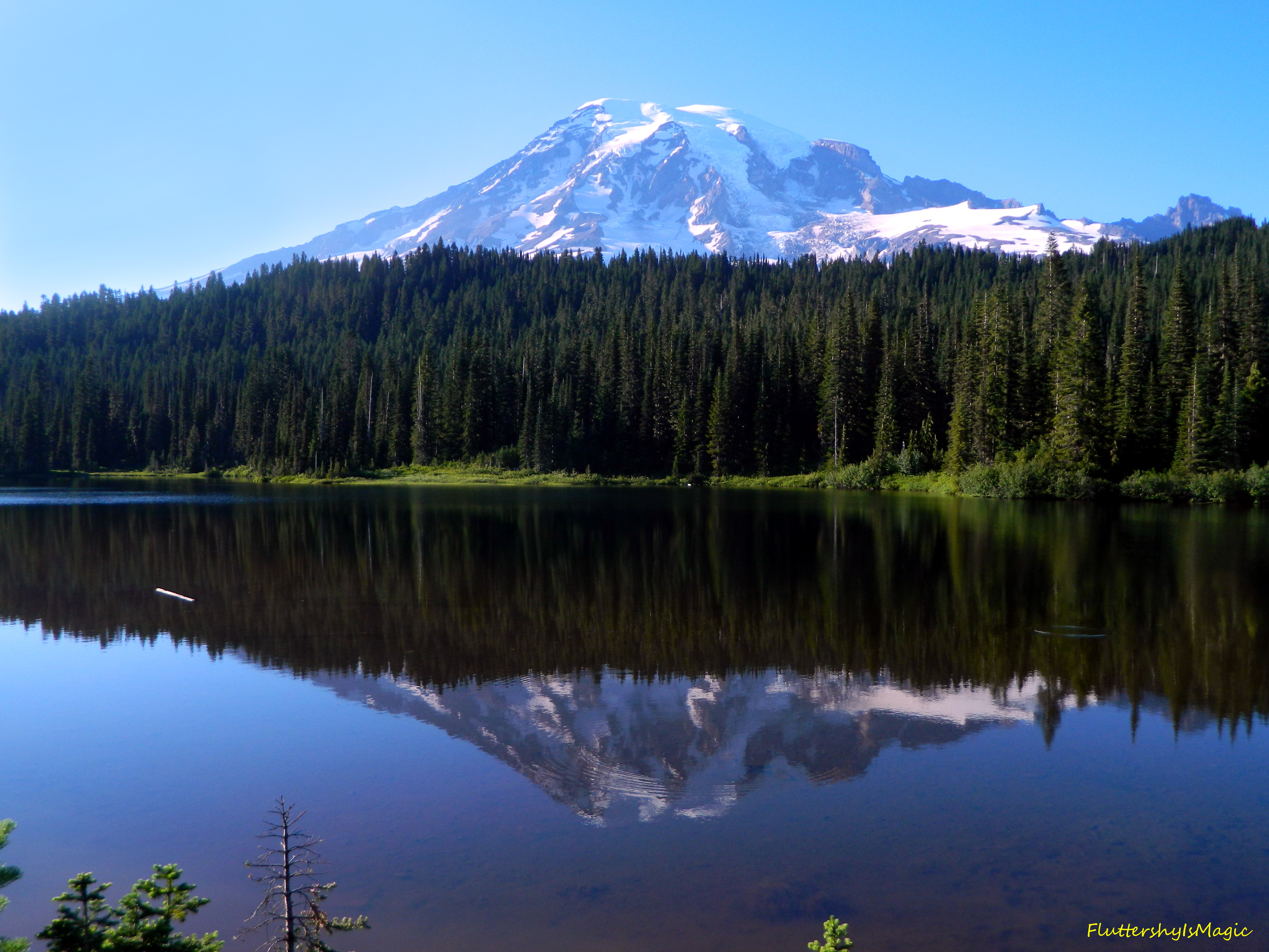 Reflection Lakes At Mount Rainier National Park Mountains