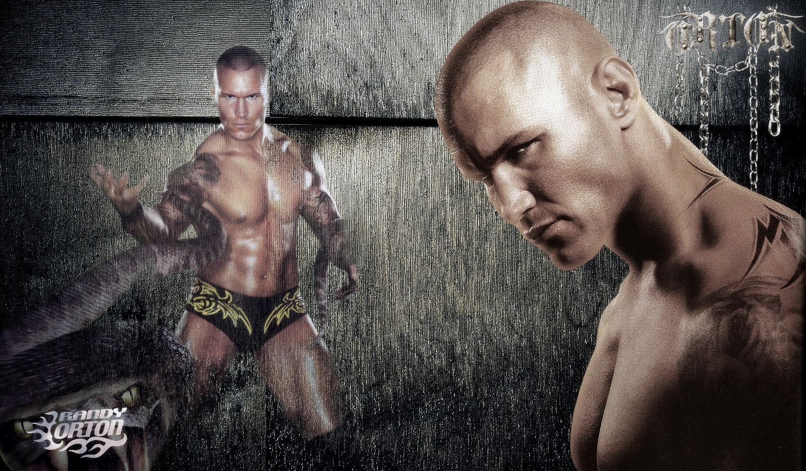 Randy The Viper Orton Wwe By Gogeta126