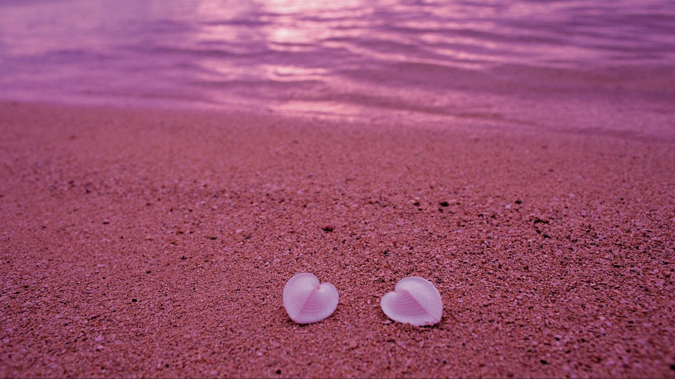 Wallpaper Seashells Beach Heart Sand Pink