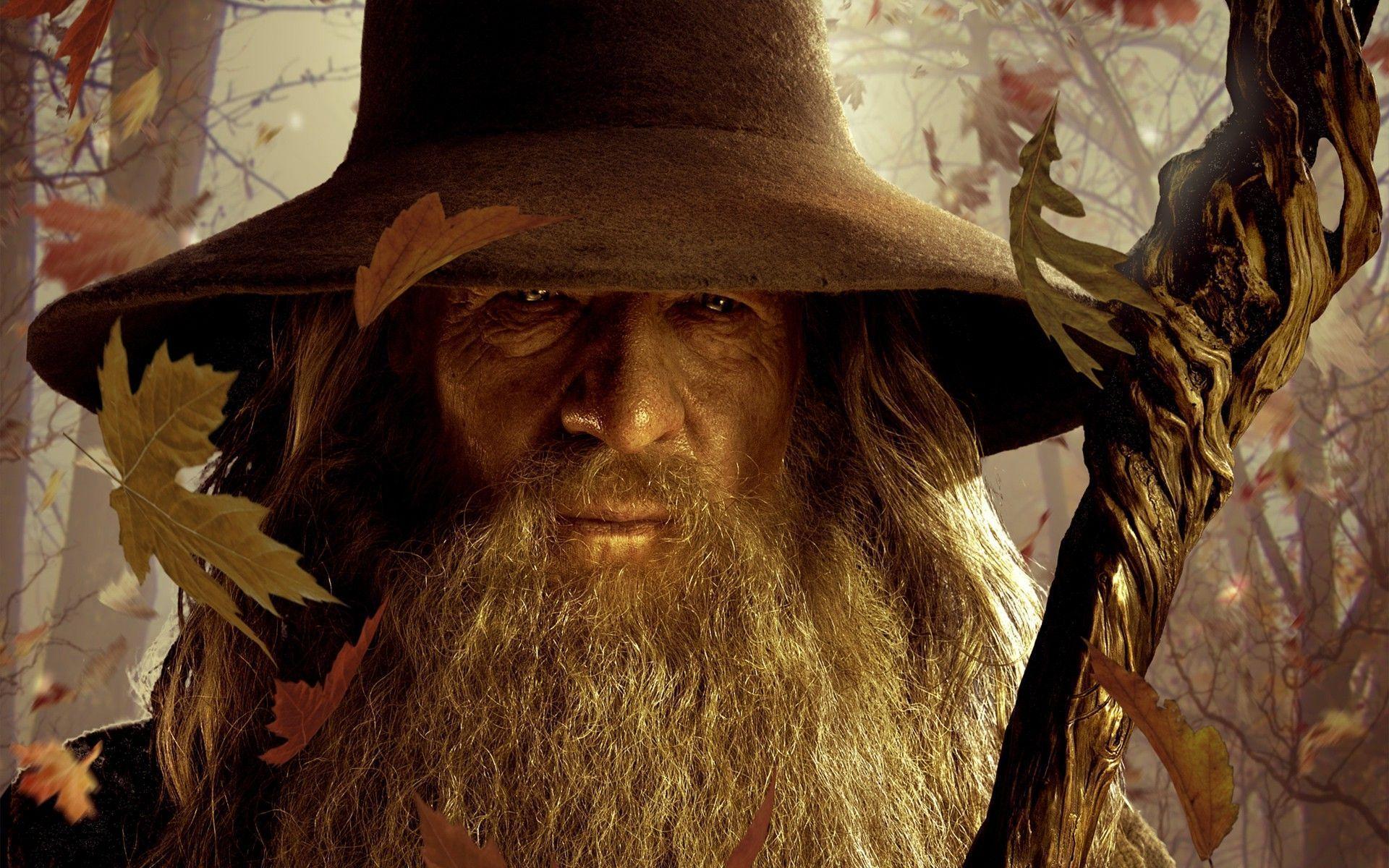 Pics Photos HD Wallpaper Gandalf In The Lord Of