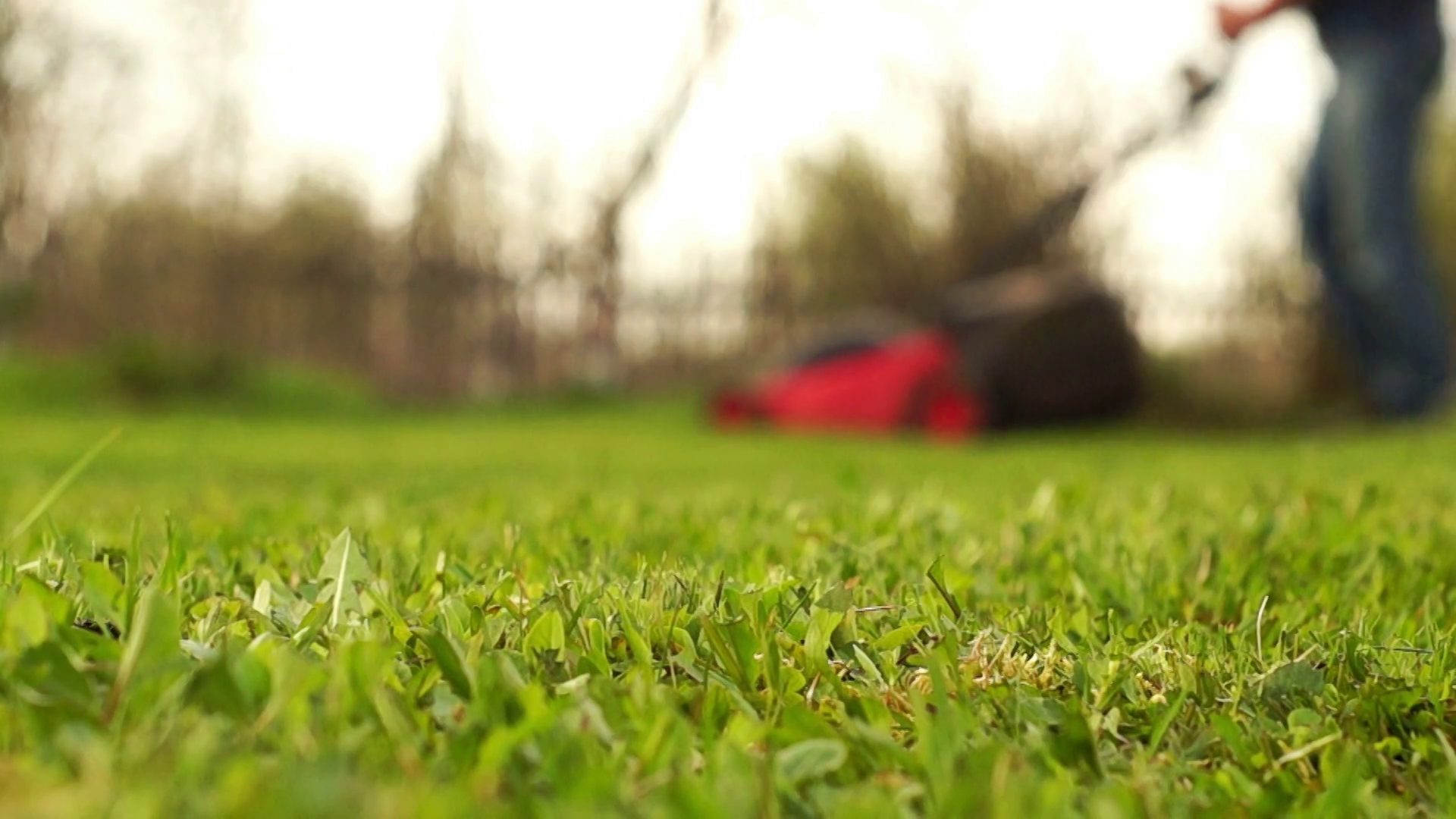 Man Mowing Grass In The Blurred Background Stock