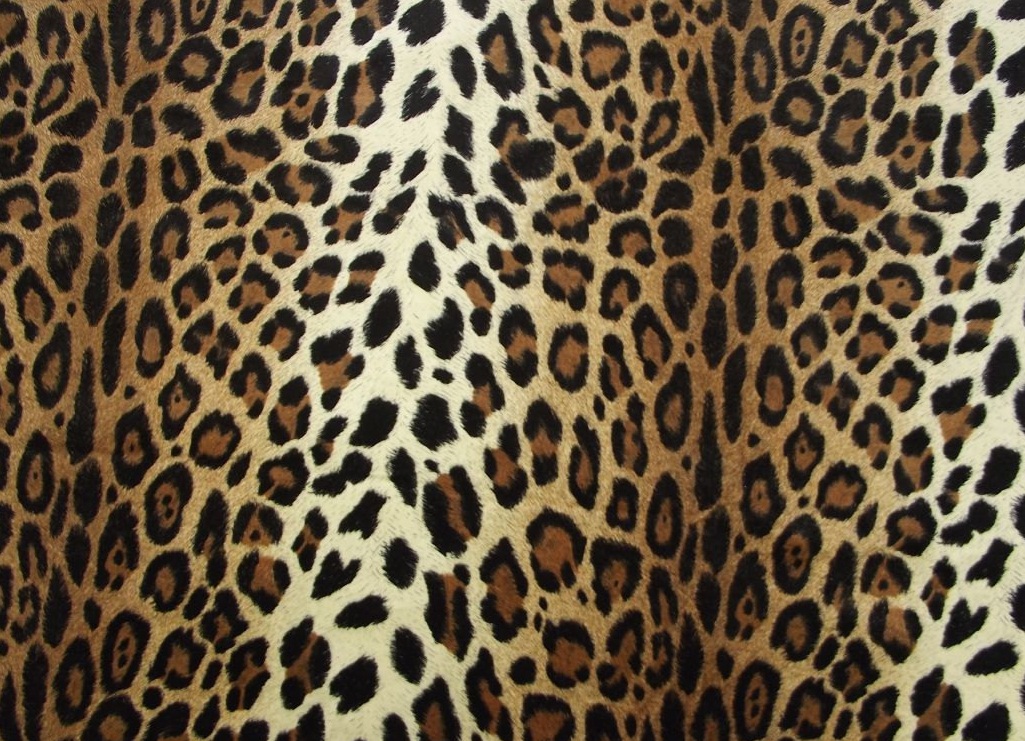 Download Cheetah Print HD Wallpapers