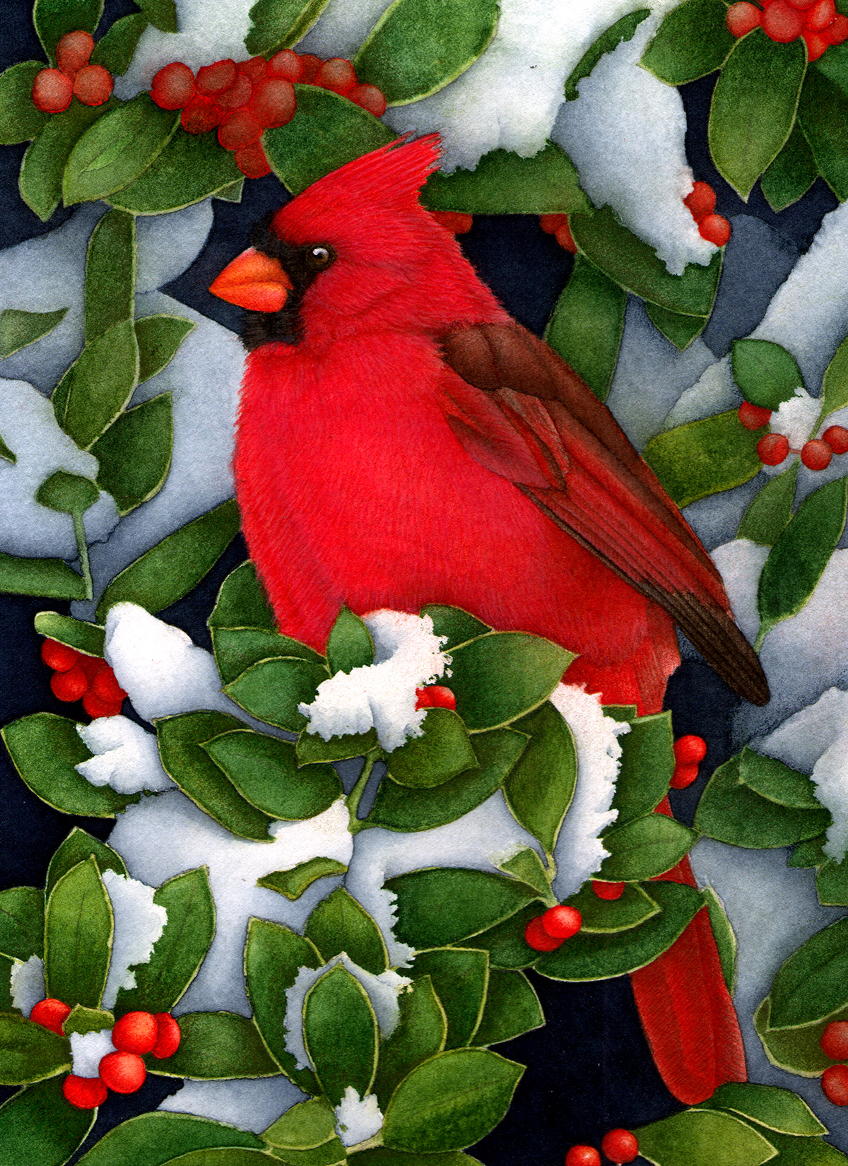 Christmas Cardinal By Gypsyalex