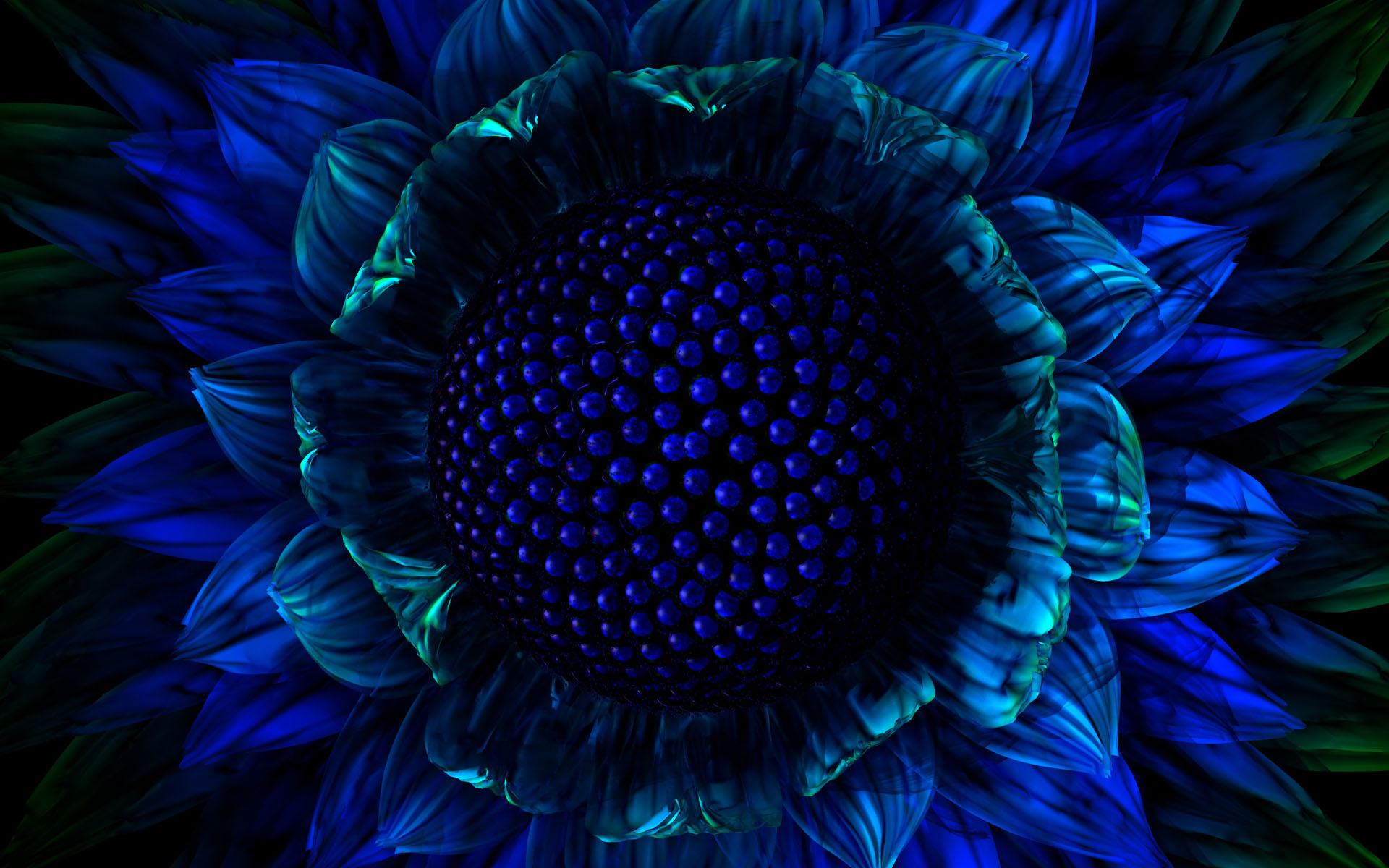 Screensavers Wallpaper Background Desktop Galerie Sunflower