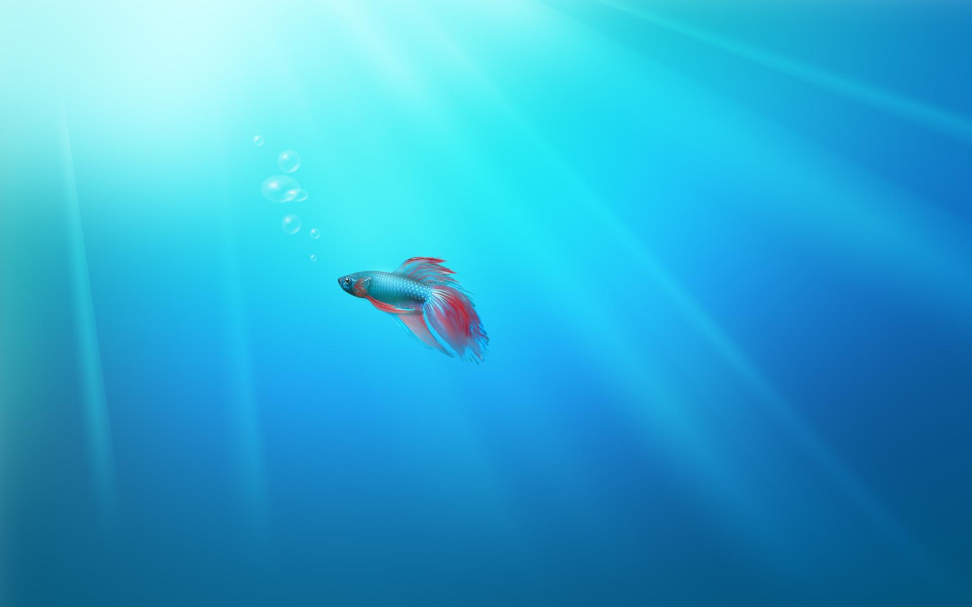 Topic Req Windows Beta Wallpaper Betaarchive