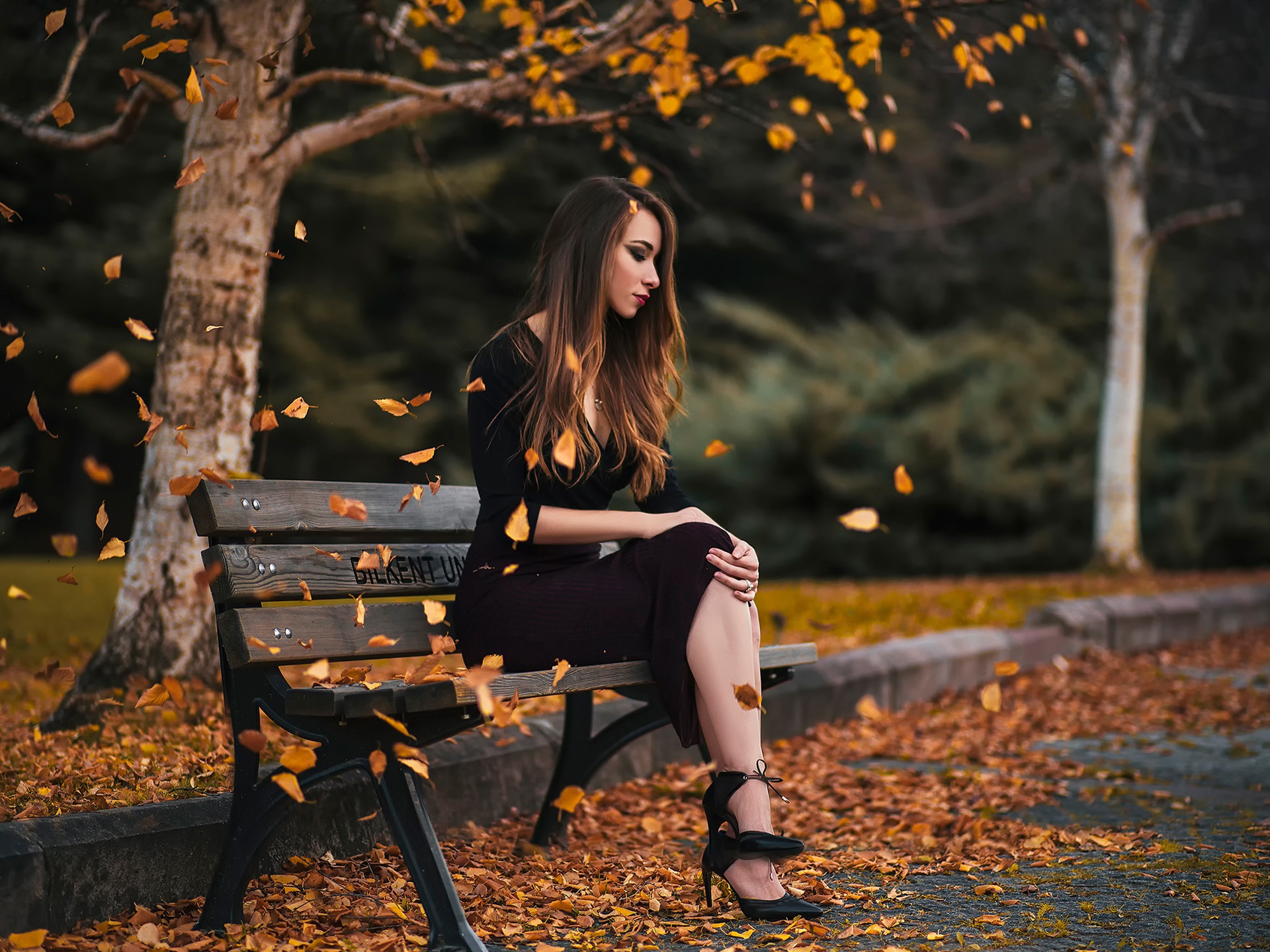 Wallpaper Girl Sit On Bench Park Leaves Autumn HD