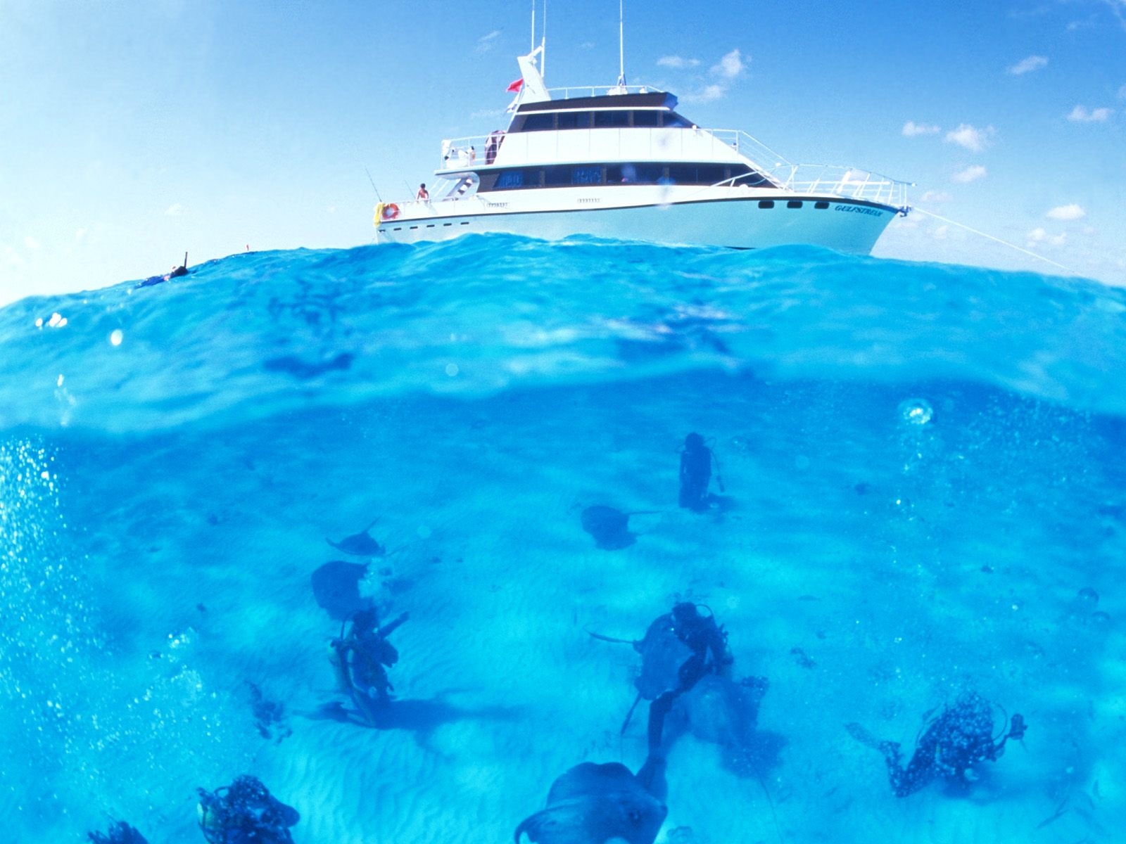  cayman cayman islands underwater stingray yacht desktop wallpaper
