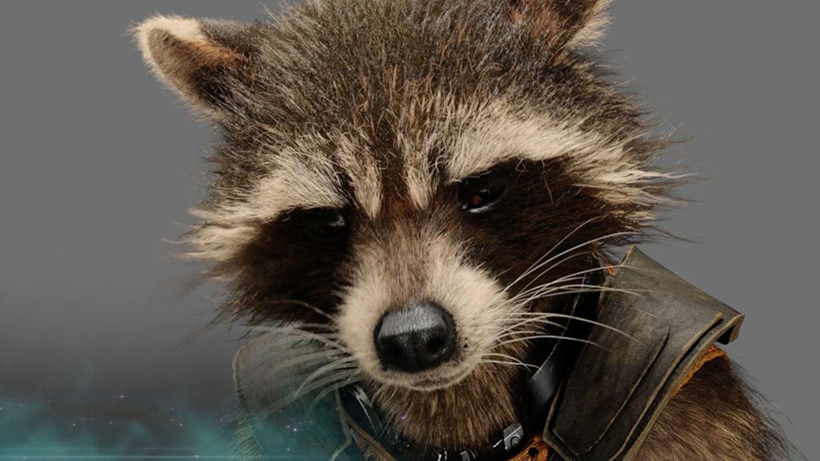 Of The Galaxy Rocket Raccoon Photos HD Wallpaper Image Pictures