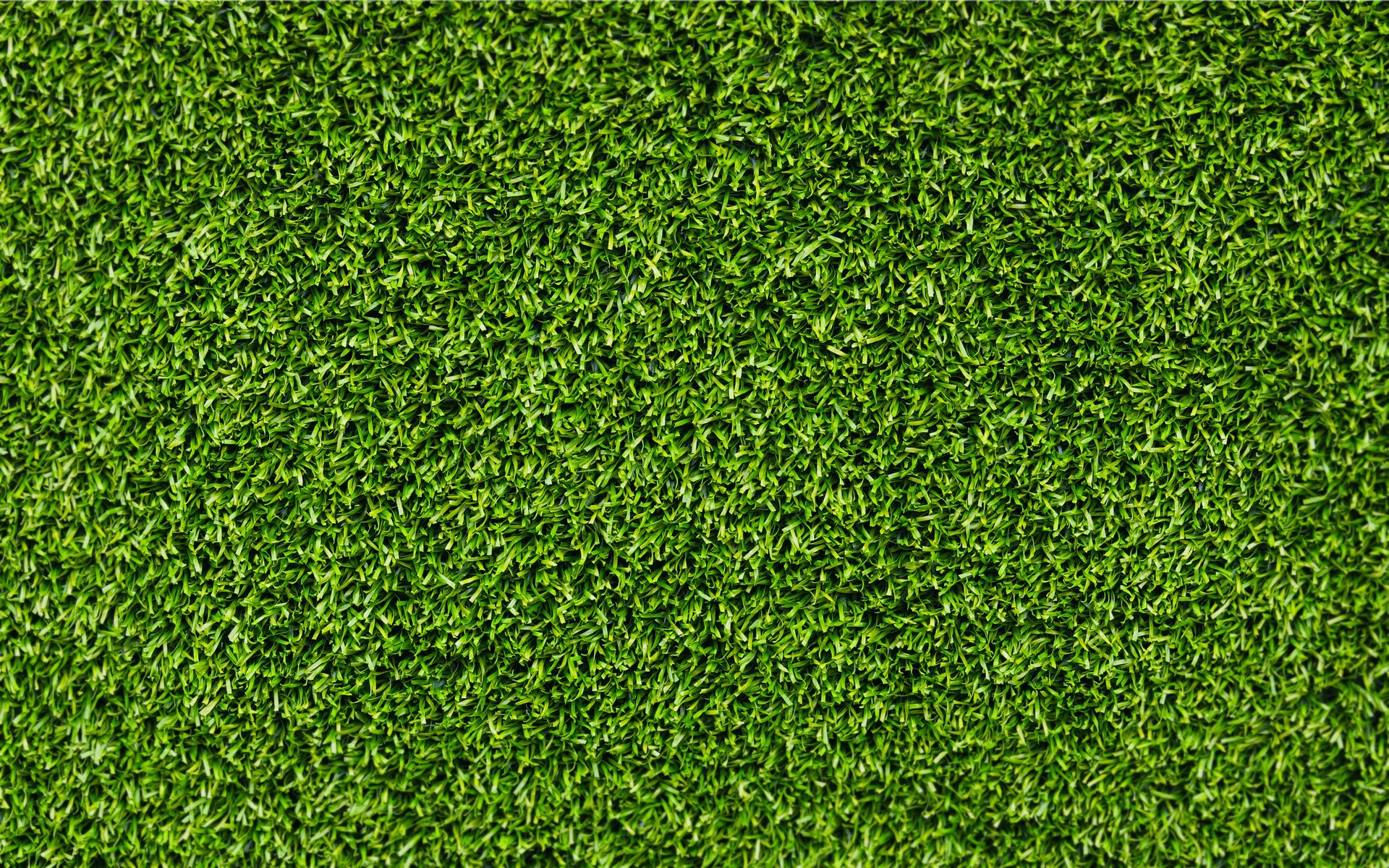 Green Grass Texture High Quality Wallpaper