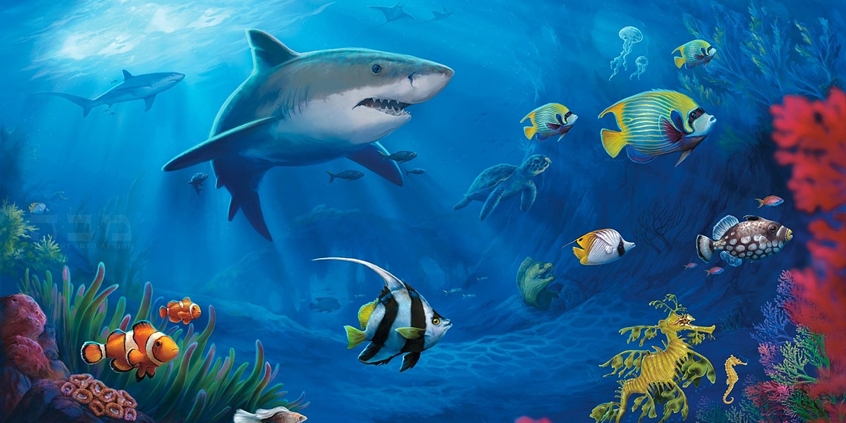 Fish Sharks Cover Background Twitrcovers