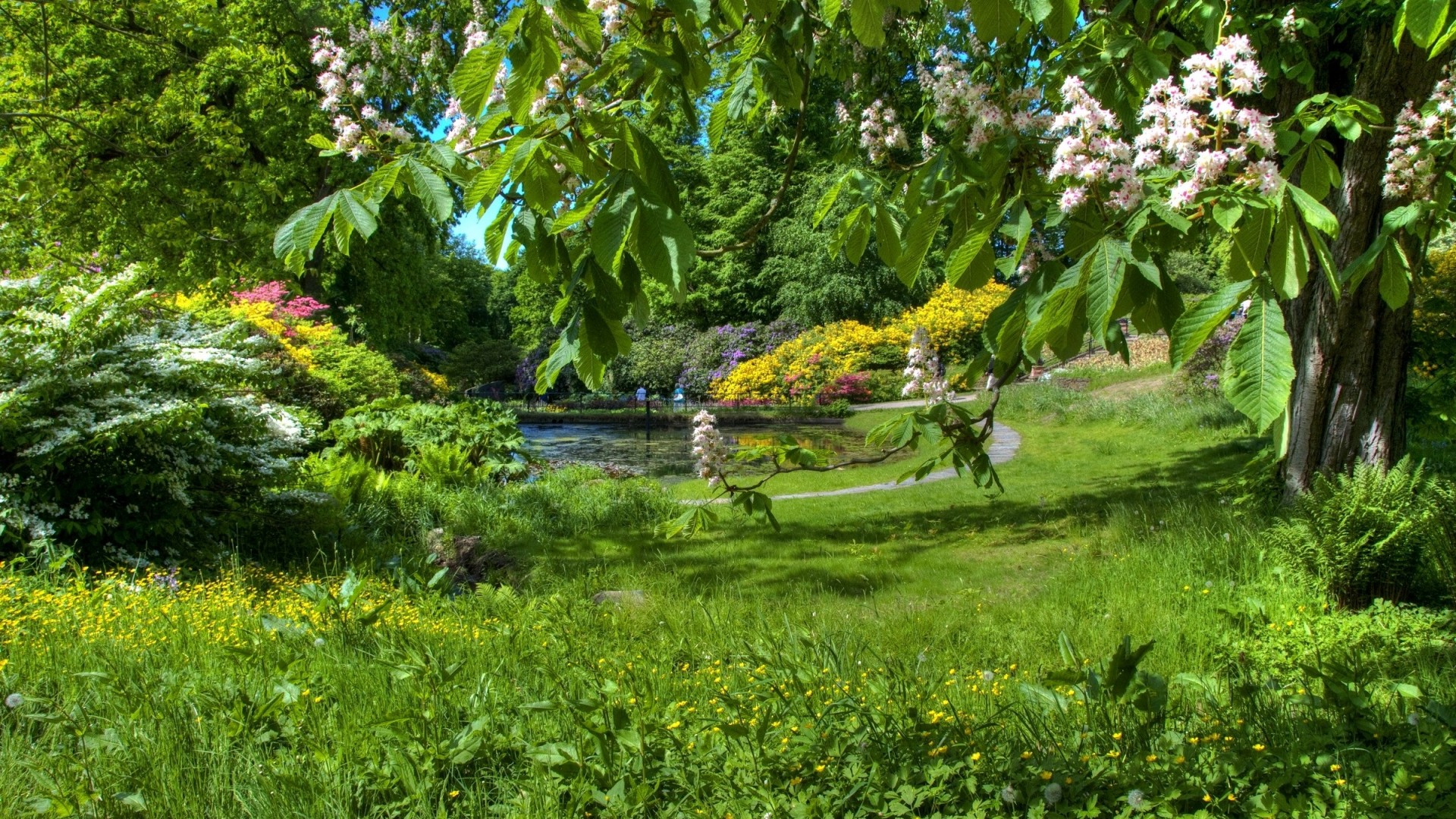 Spring Garden Desktop Wallpaper HD Background Of Your