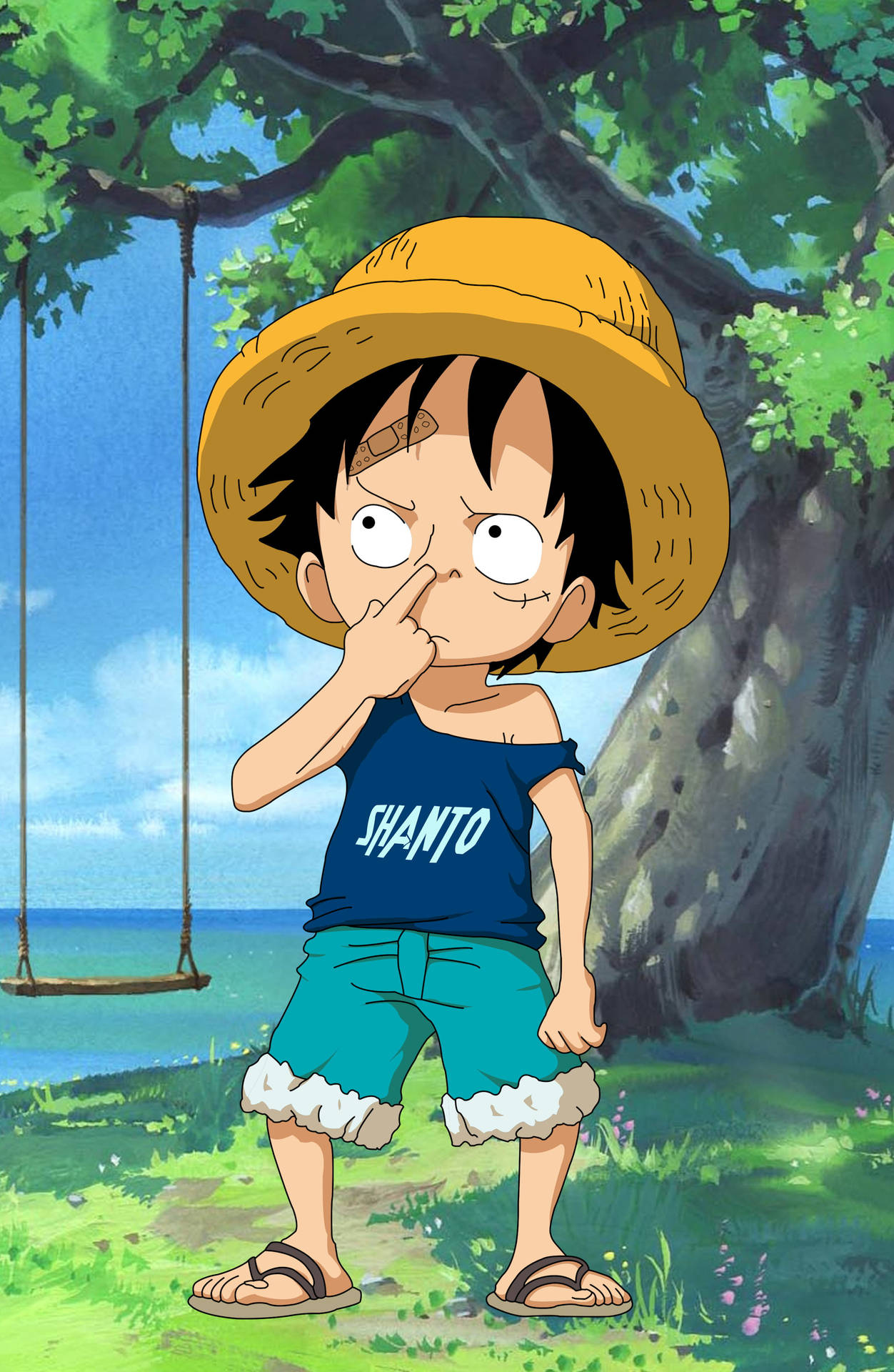 Luffy Funny Wallpaper