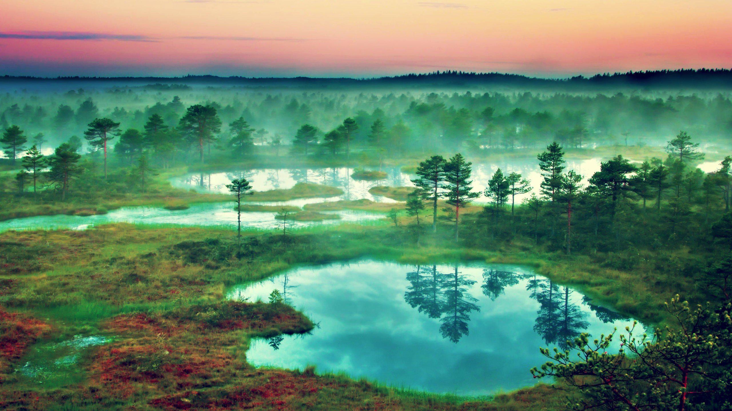 4K HD wallpaper of a misty sunrise over a tranquil bog landscape, reflecting the colorful sky in the still water