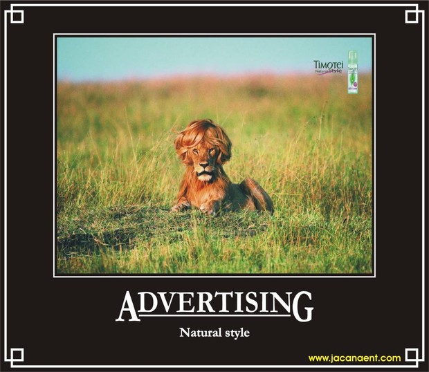 Advertising Demotivational Poster