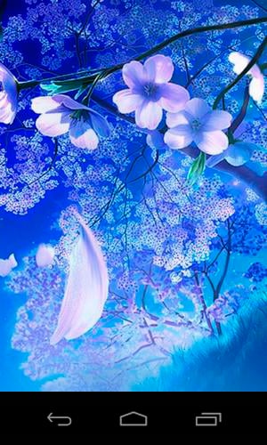 Free download Play 3D sakura magic for Android Game 3D sakura magic free  download [300x500] for your Desktop, Mobile & Tablet | Explore 50+ Magic  Smoke Live Wallpaper | Blue Smoke Wallpaper,