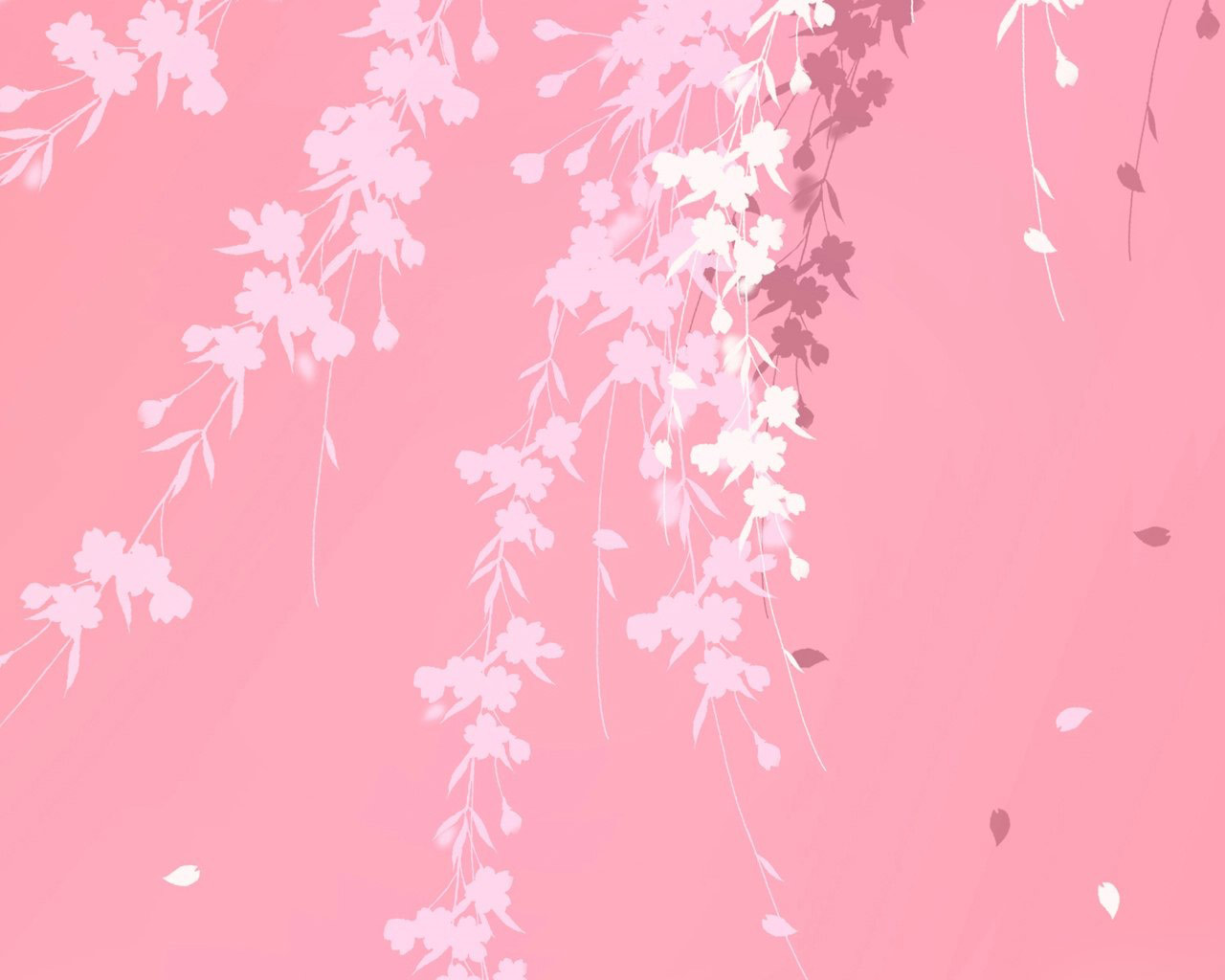 Pink Background Branches Windows Desktop Wallpaper