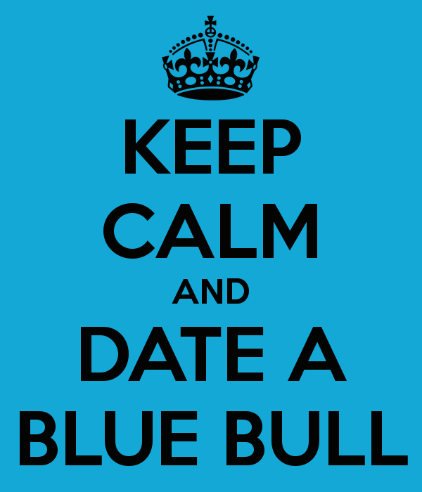 Blue Bulls Wallpaper Date a blue bull 600x700