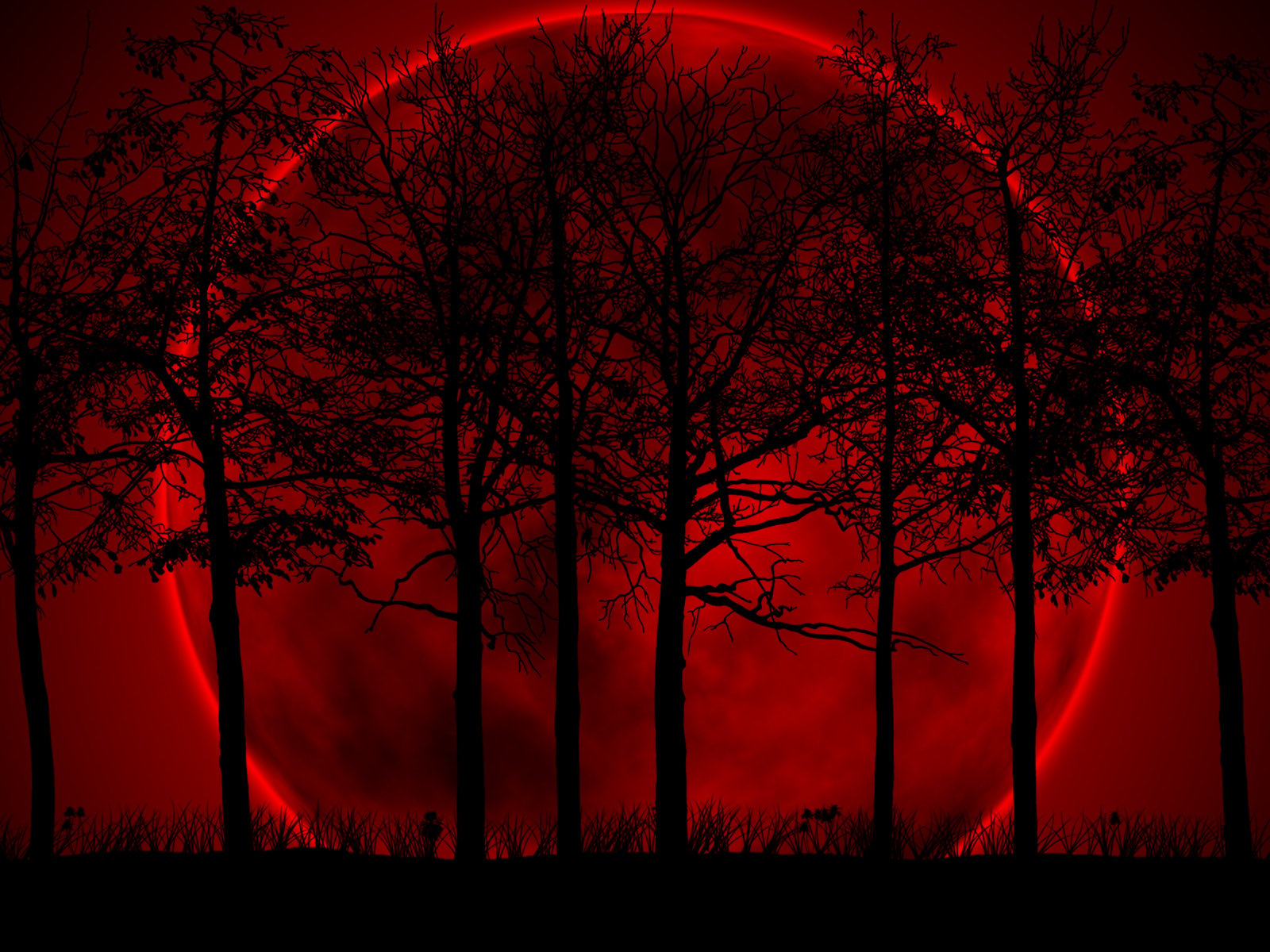 Wallpaper 34 Moon forest Red and Black Wallpapers 1600x1200