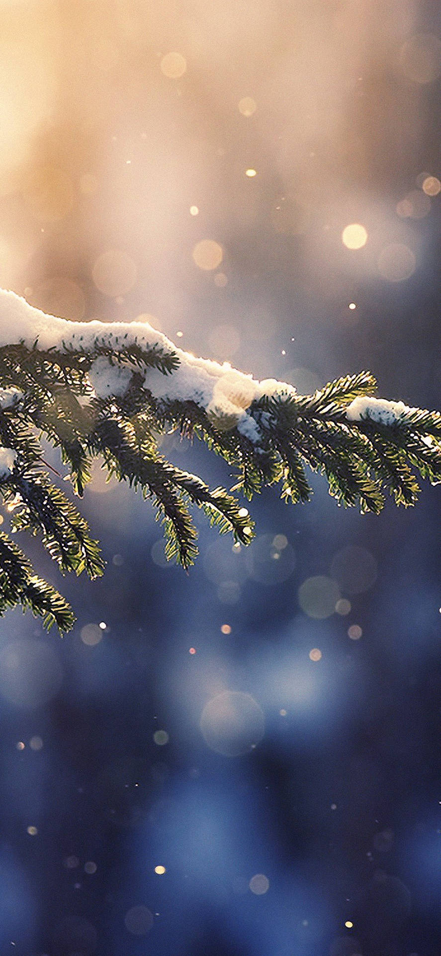 Winter iPhone Wallpaper