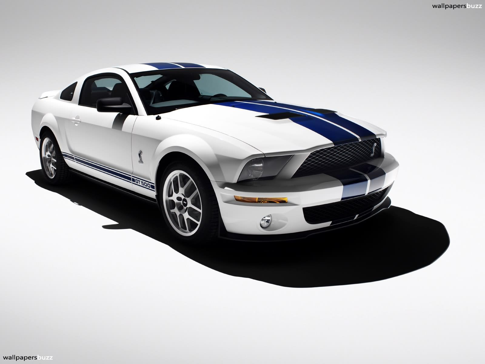Wallpapers Ford Mustang Shelby GT500 1600x1200