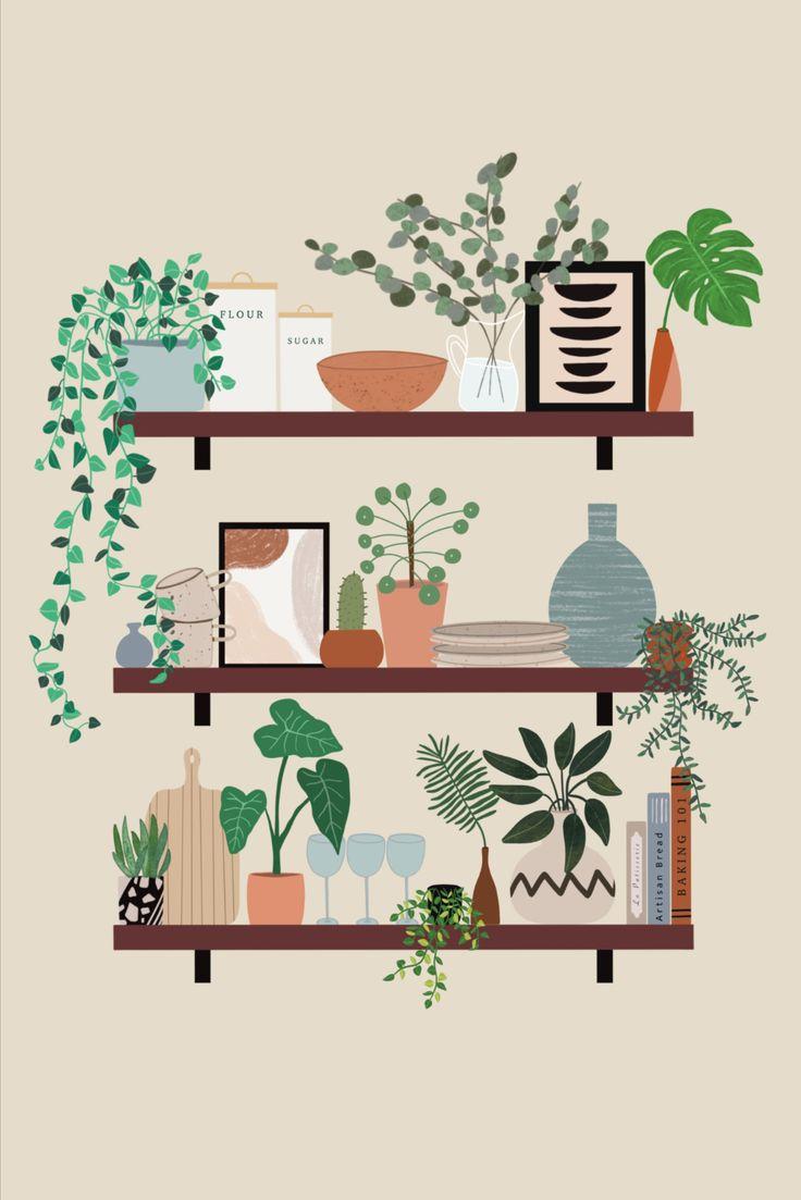 Plant Illustration Shelf Art Print Bohemian