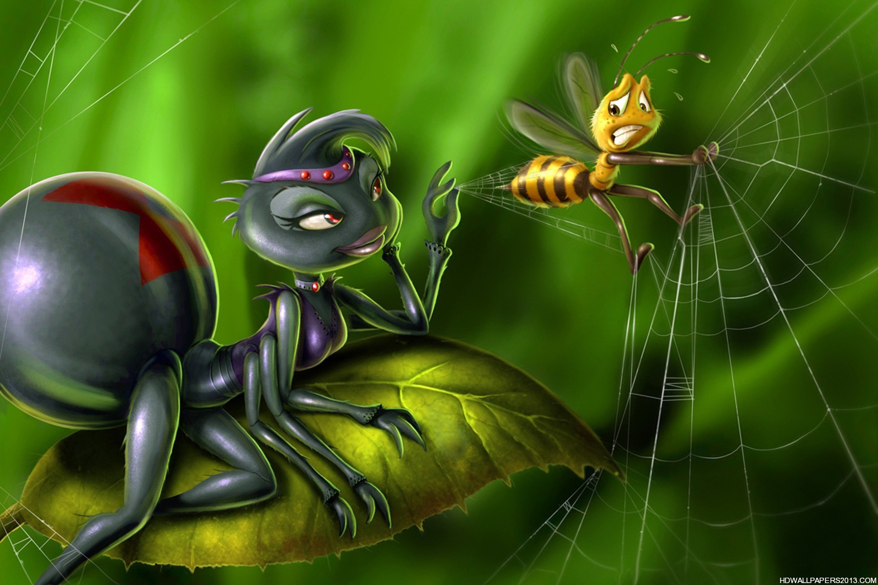 Spider And Bee 3d Wallpaper High Definition