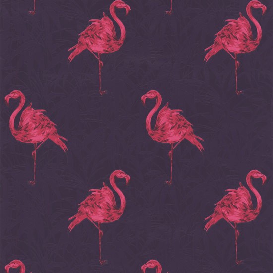 Free download Contour Flamingo wallpaper from Wilkinson 10 best feature