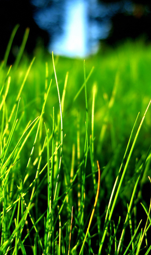 Free download Blackberry Z10 wallpaper BlackBerry Forums at