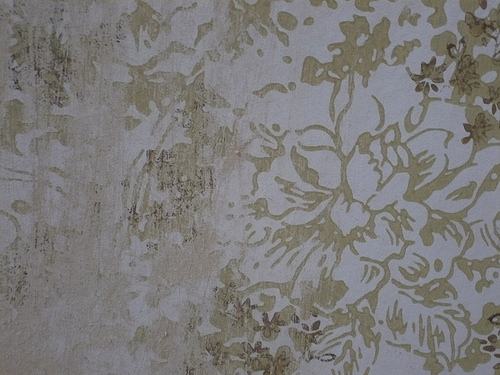 Free download Distressed wallpaper Flickr Photo Sharing [500x375] for