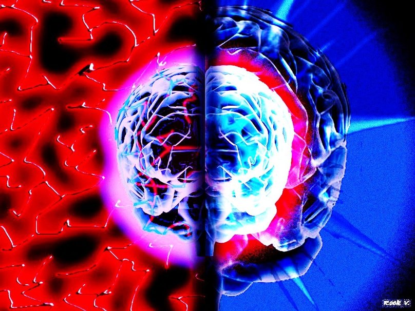 The Yellow Wallpaper Conflicts. Download Wallpapers on WallpaperSafari