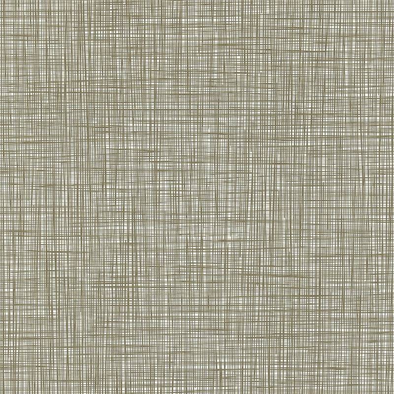 Free download walnut wallpaper [800x800] for your