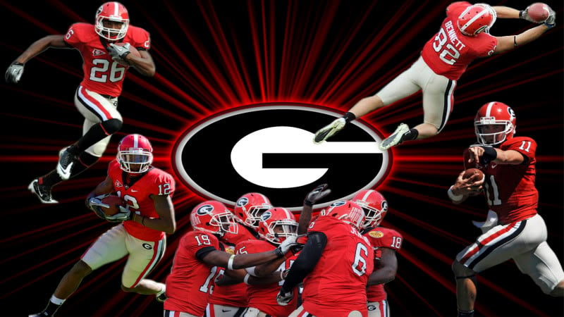 Free download Uga Desktop Wallpaper [800x450] for your Desktop, Mobile ...