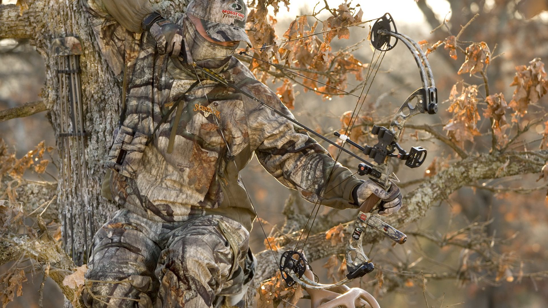Treestand Wallpaper. Download Wallpapers on WallpaperSafari