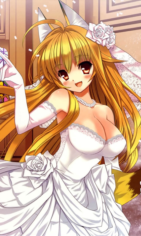 Free Download 480x800 Wallpaper Kanokon Minamoto Chizuru Ezomori Nozomu Oyamada 480x800 For 